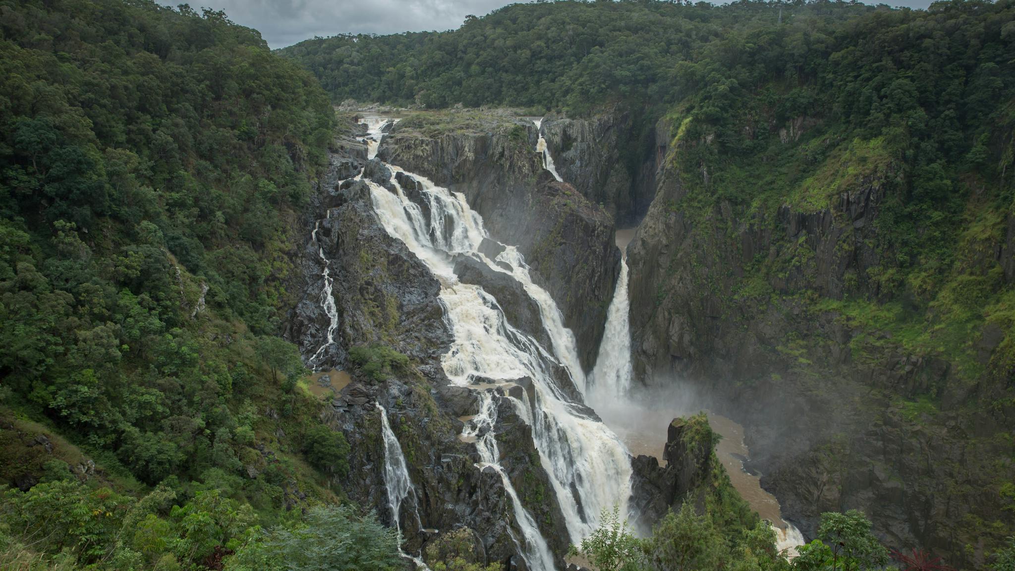 Streams of water rush down a vertical rock face surrounded by lush rainforest. Streams of water rush down a vertical rock face surrounded by lush rainforest.