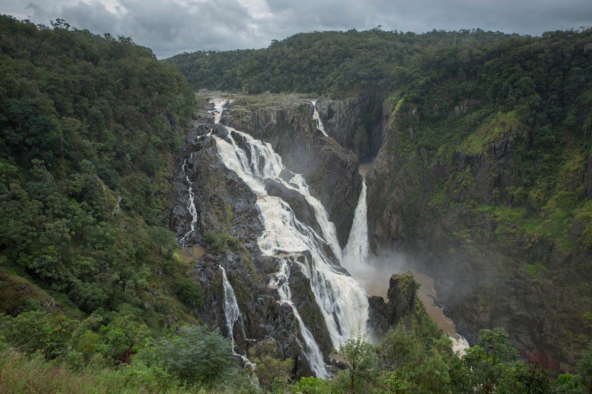 Streams of water rush down a vertical rock face surrounded by lush rainforest.