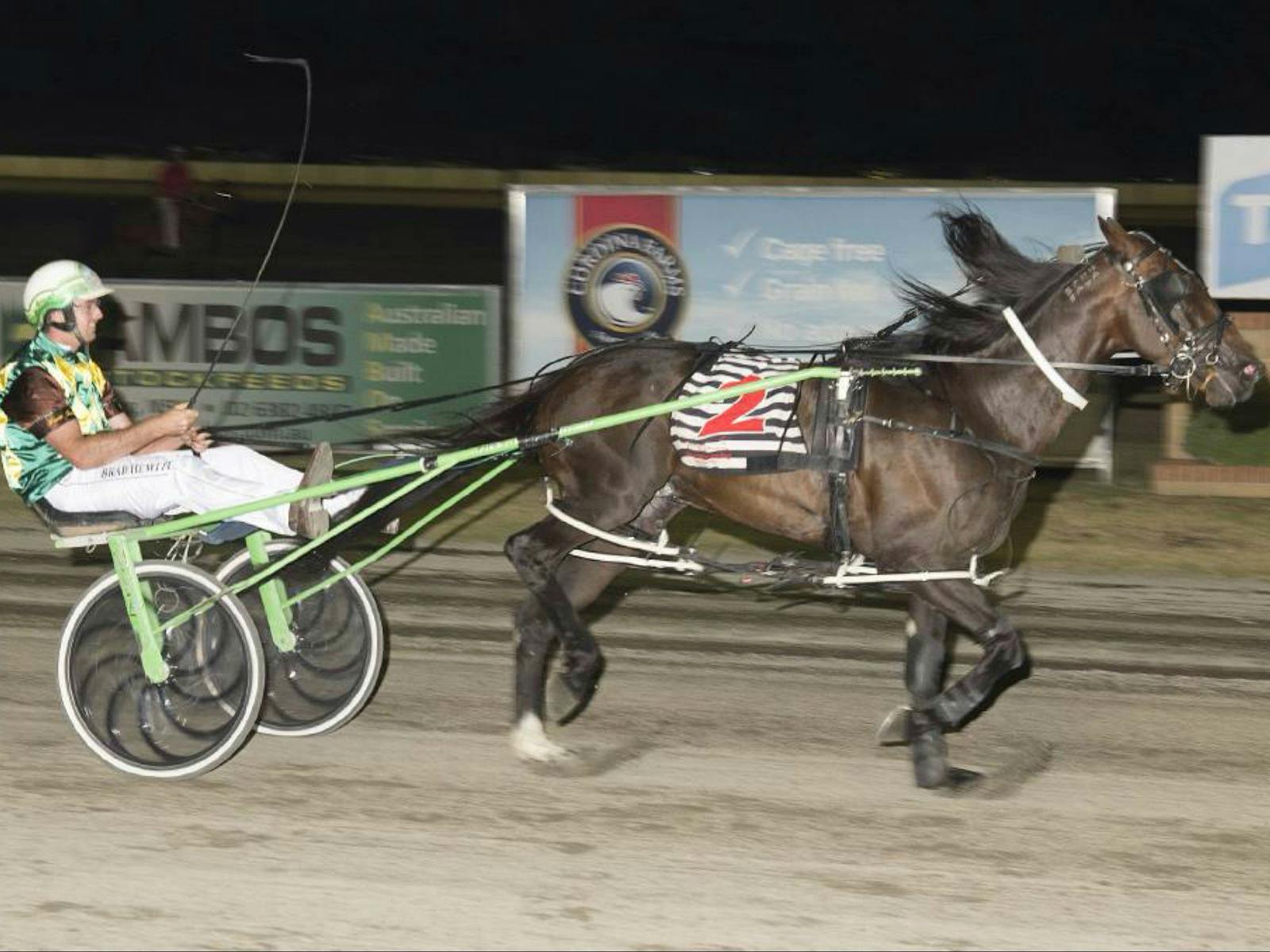 Image for Harness Racing