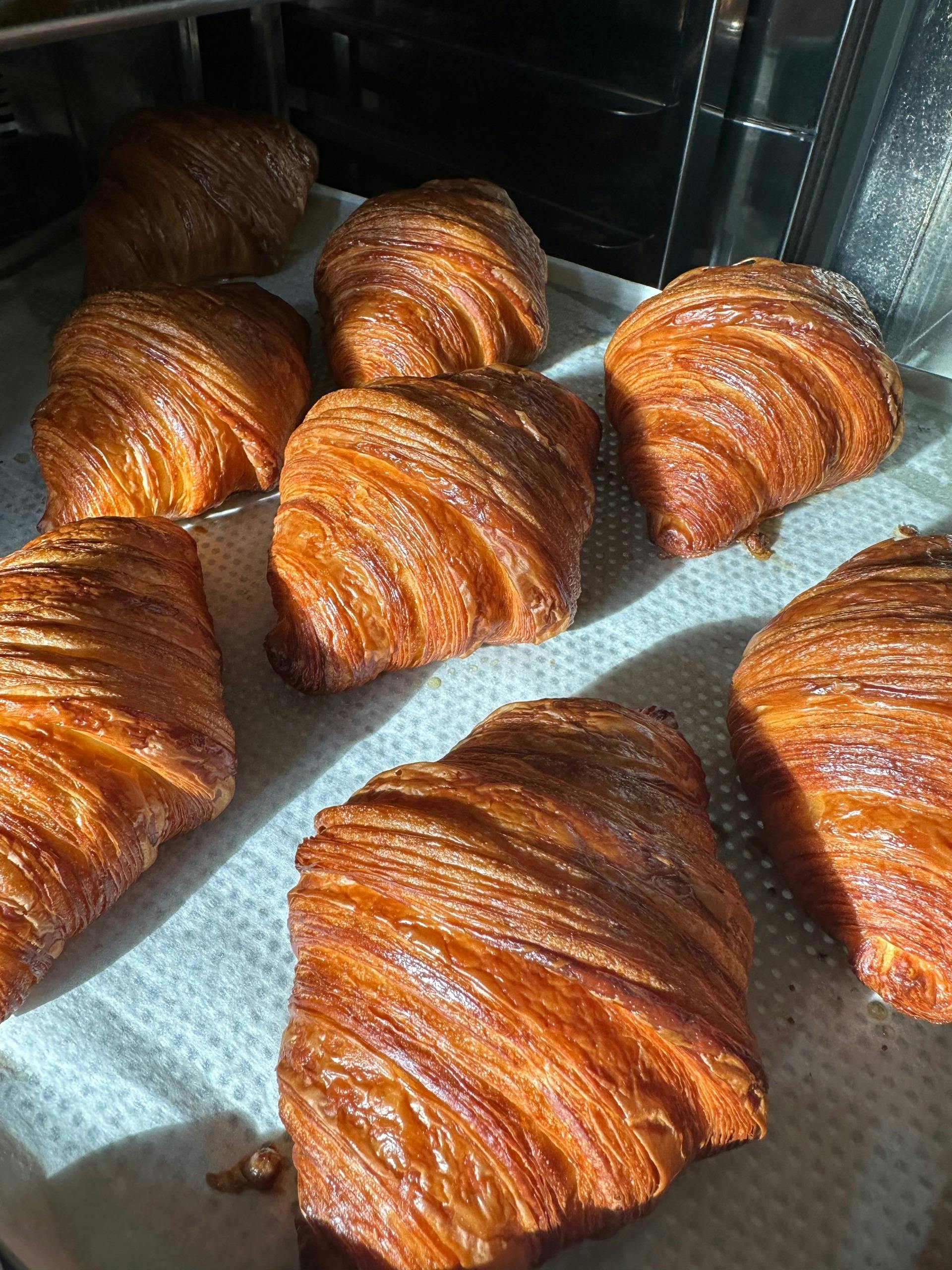 A tray of croissants in the sunlight