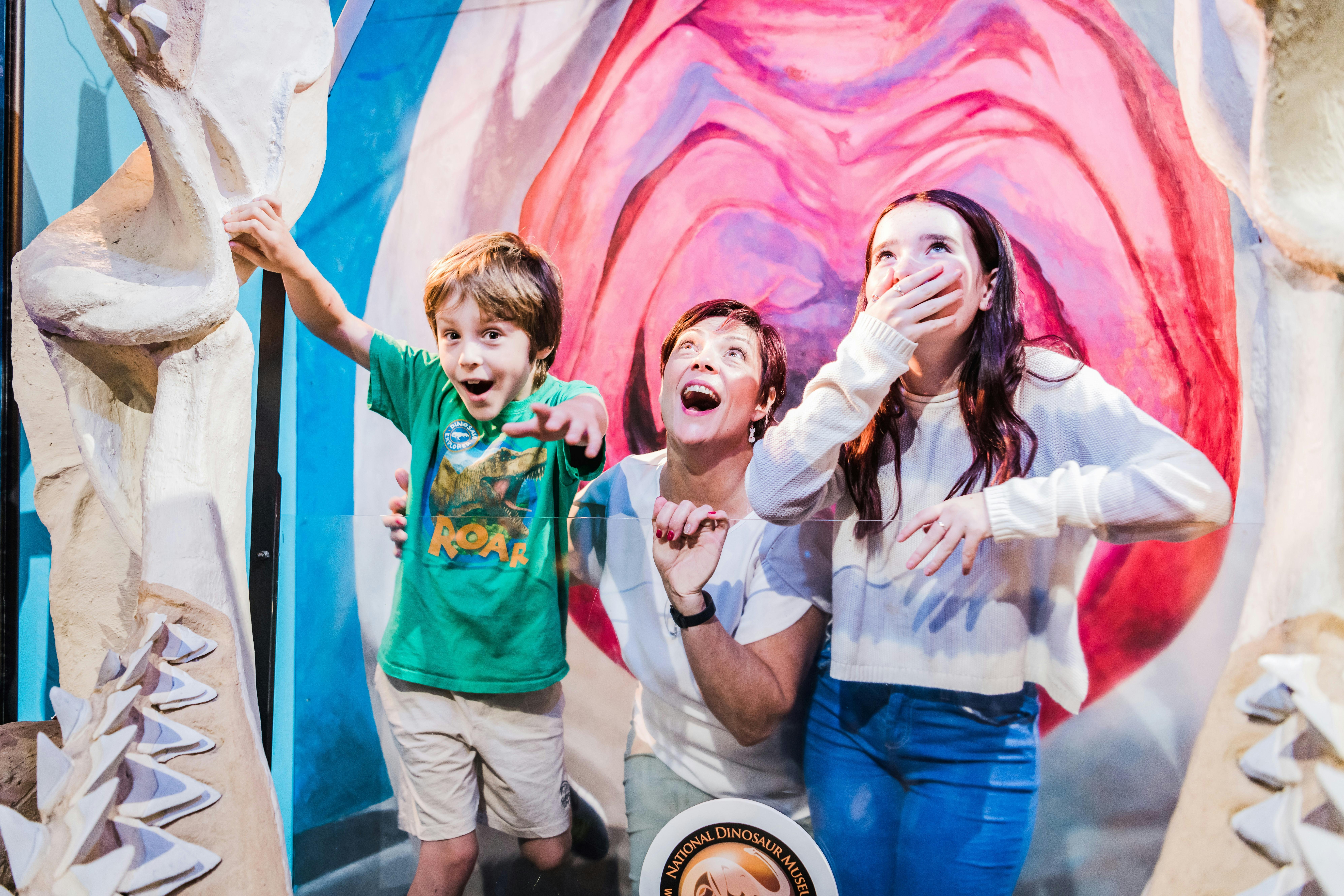 Little boy, auntie and teenage girl pose for a photo