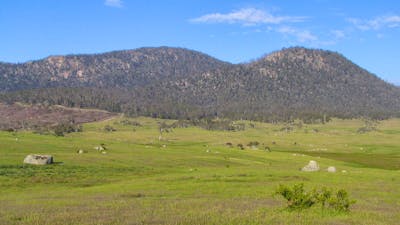 View of ranges with expansive grasslands in the foreground