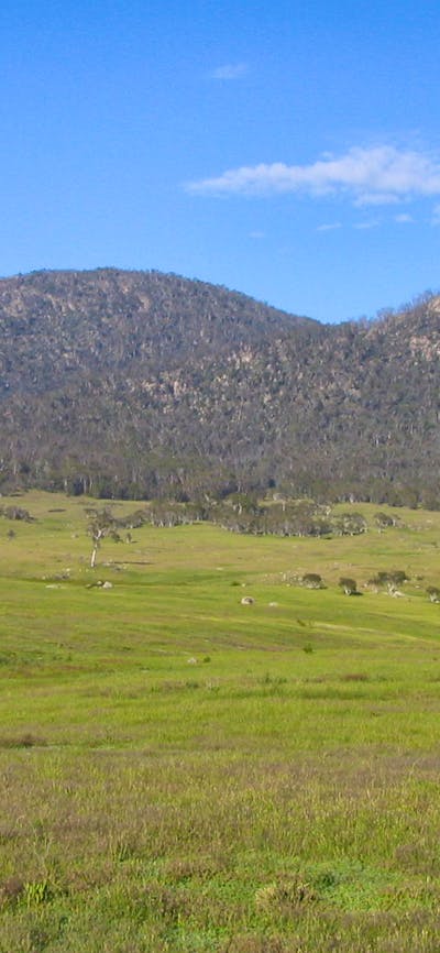View of ranges with expansive grasslands in the foreground