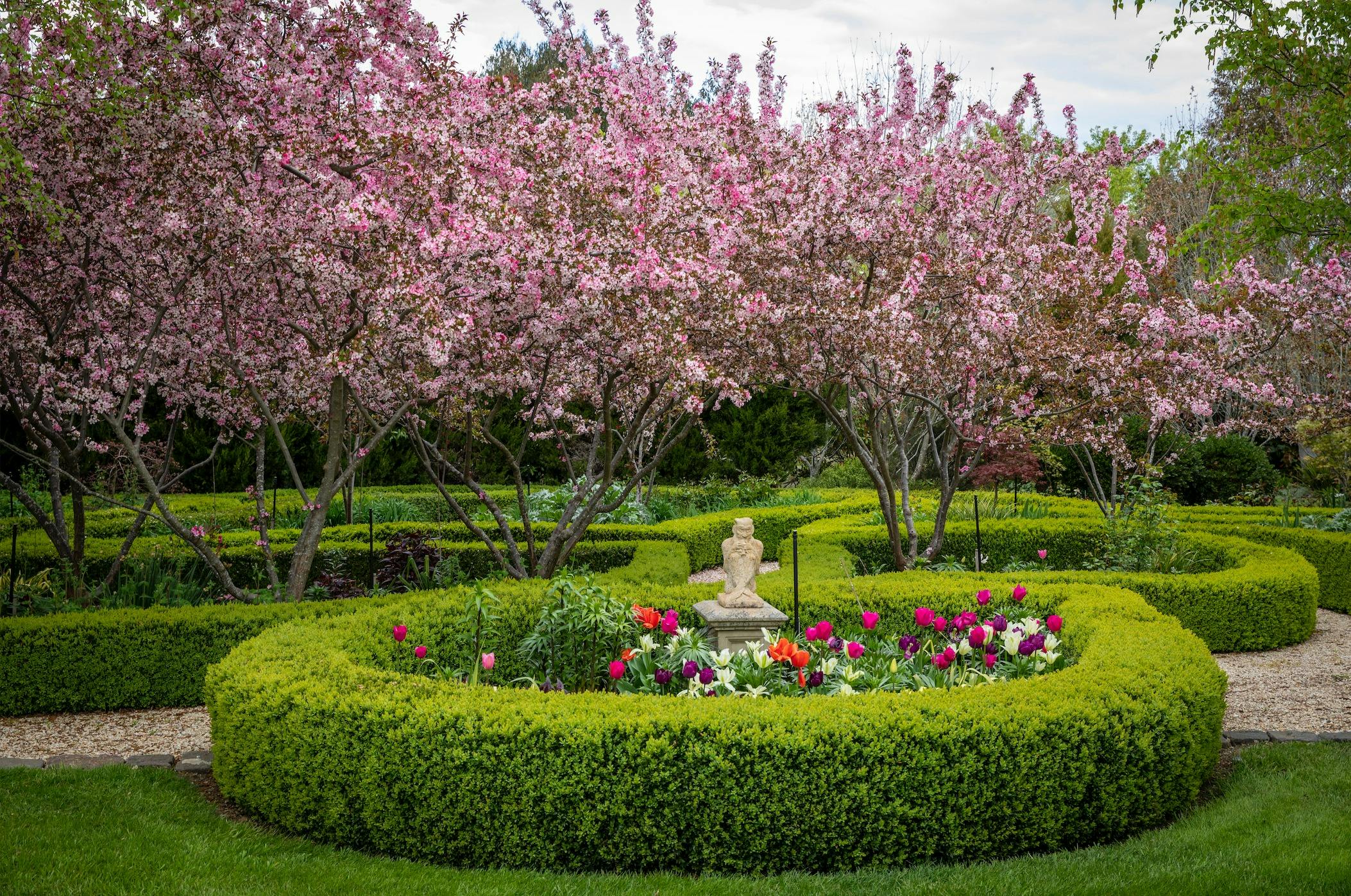 Open Gardens Victoria - Verdicus spring blossoms