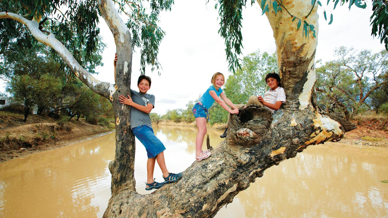 Thargomindah