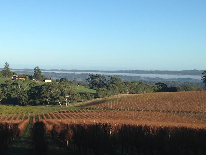 Wine Tours