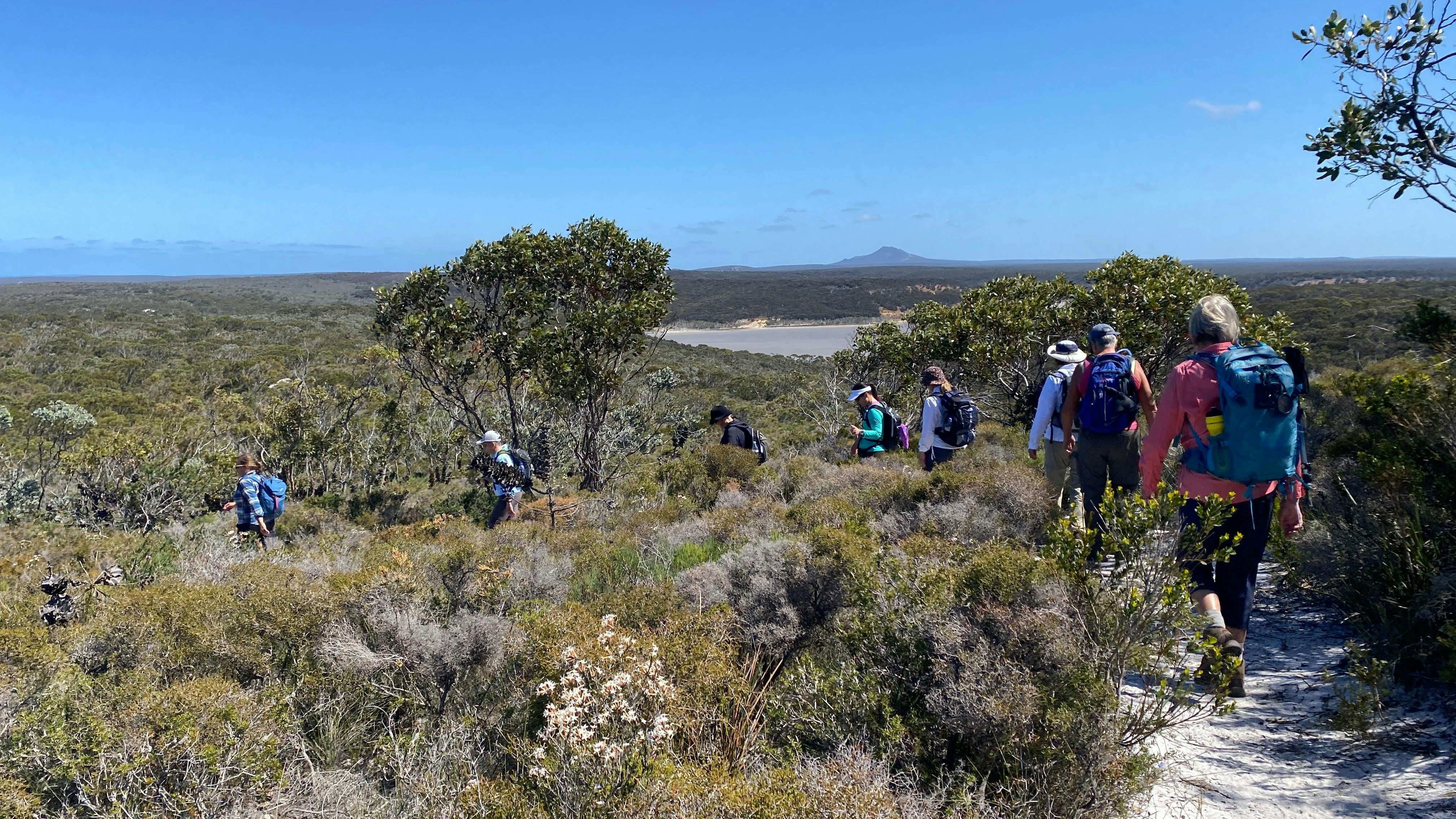 Women walking in a row along the trail in the Fitzgerald River National Park.