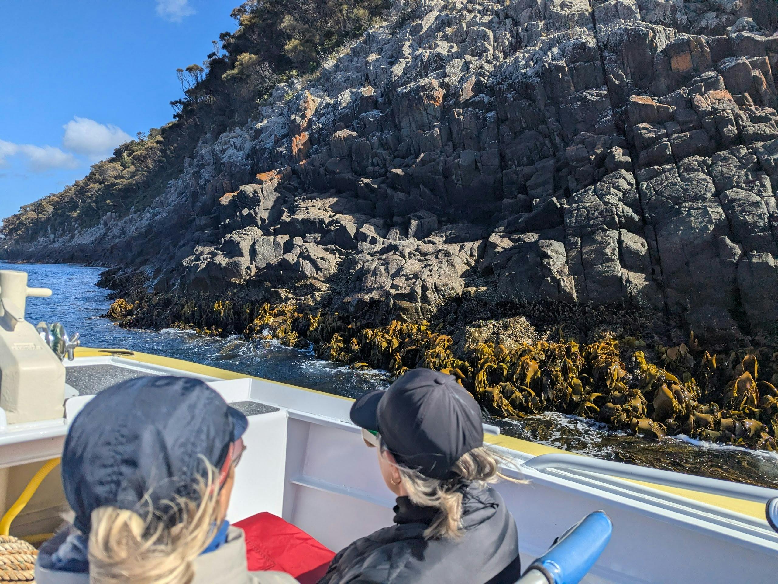 People on a boat exploring the coastline cliffs of Bruny Island Tasmania wilderness cruise.