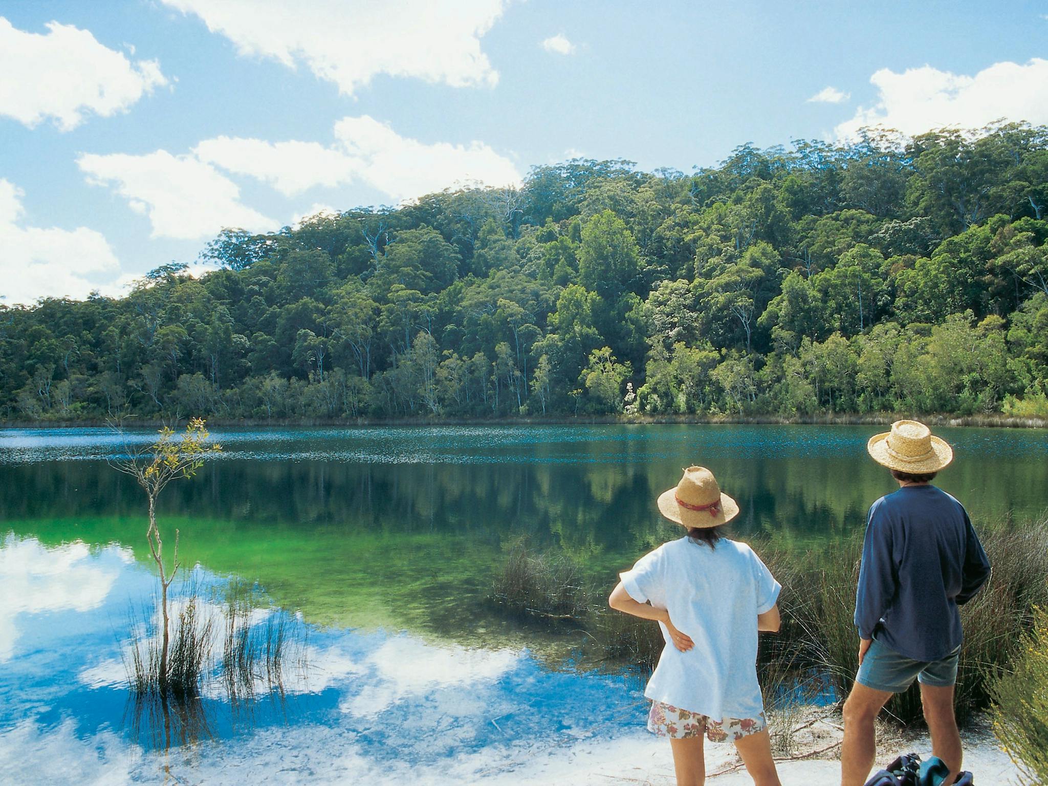 Basin Lake Fraser Island Basin Lake Fraser Island