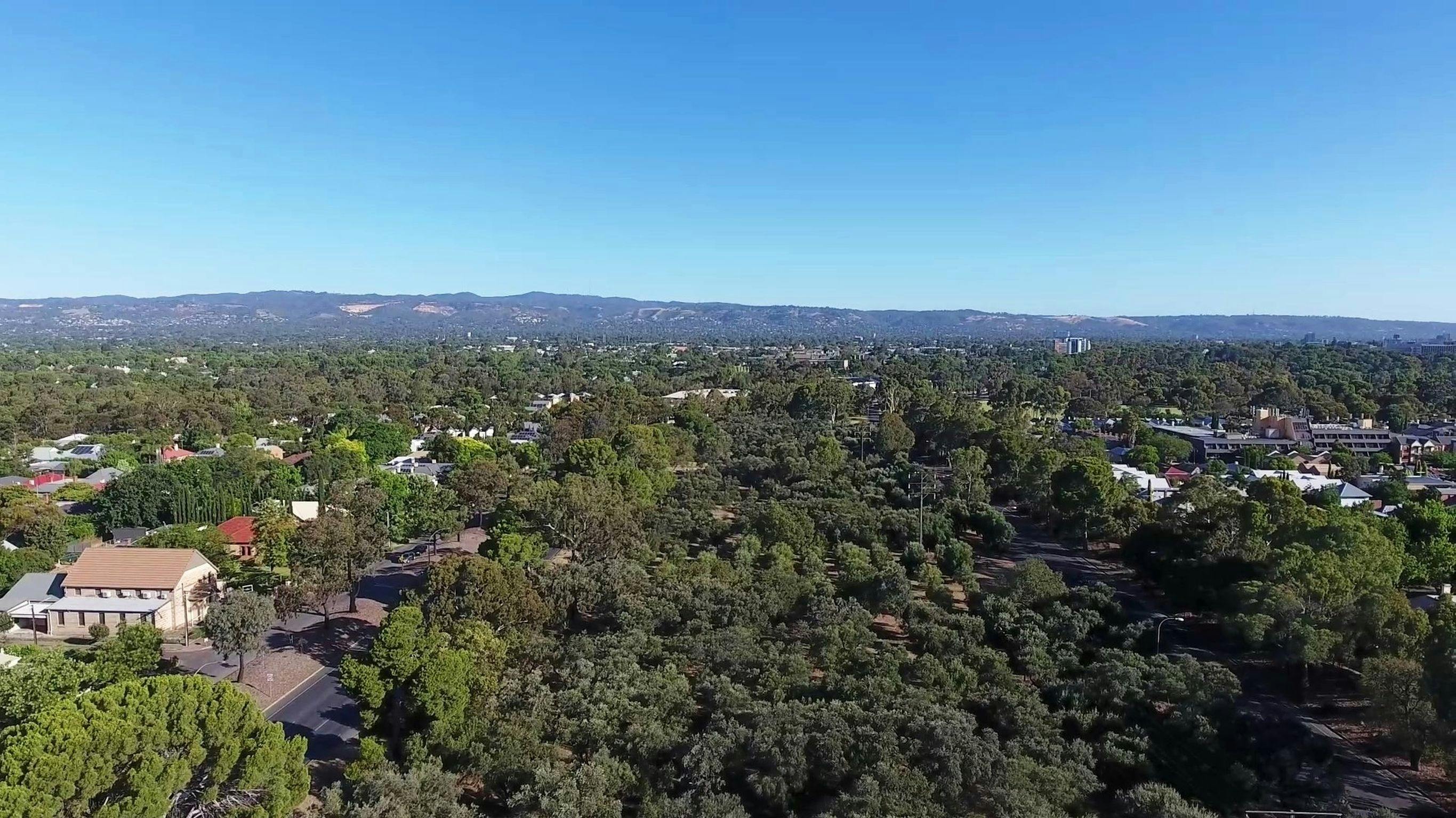 Guided Walk through  lower North Adelaide's Parks 7, 8 and 9