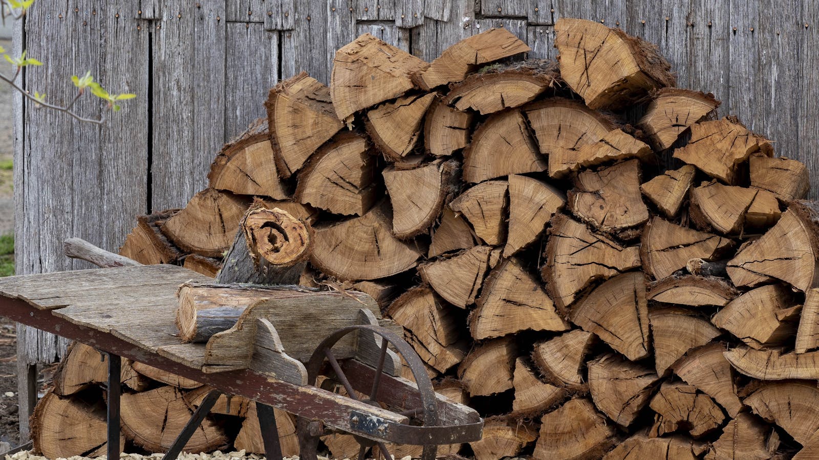 Fireplace and firewood