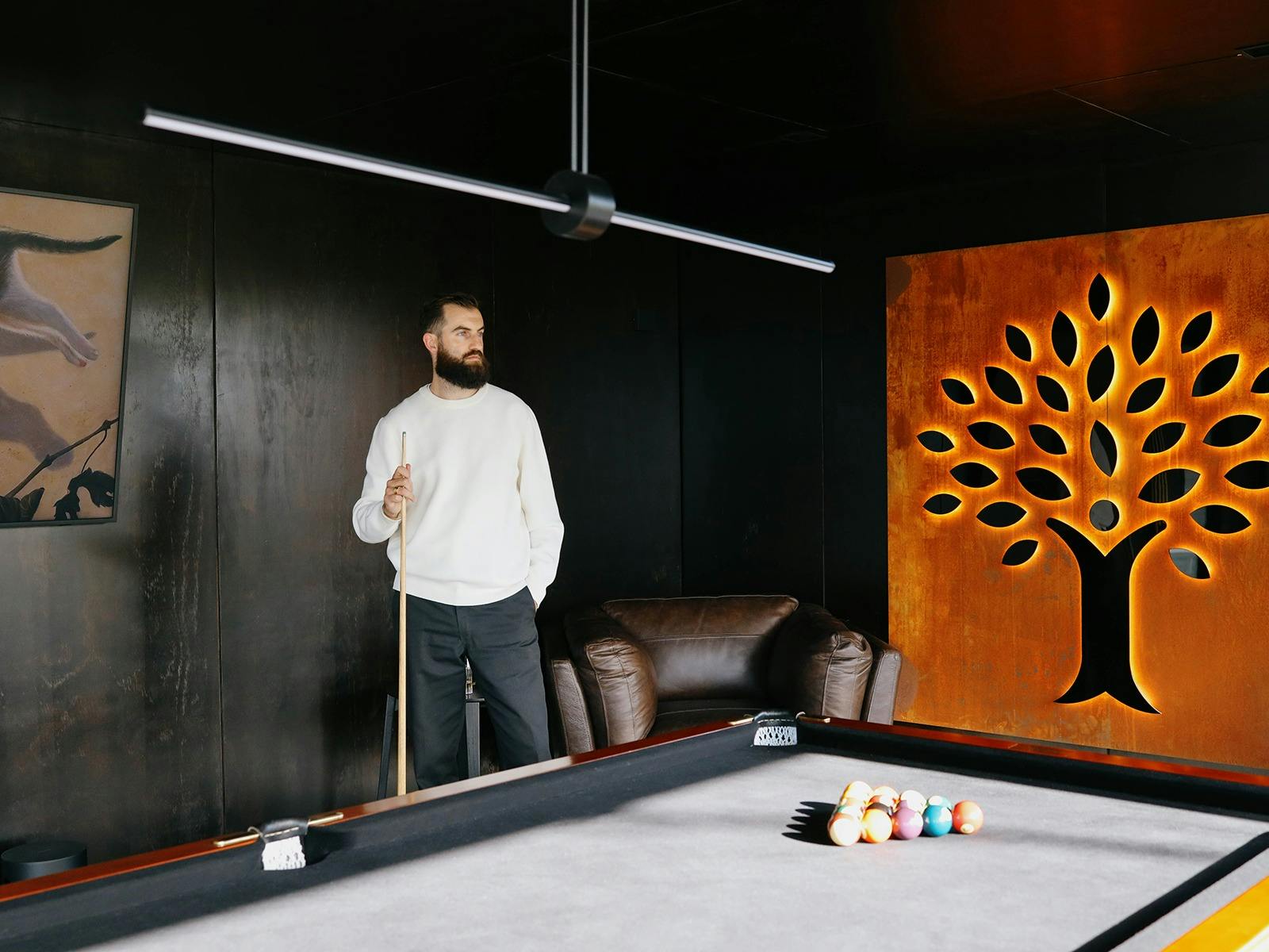 Enter the lair: 48 hours to scheme image