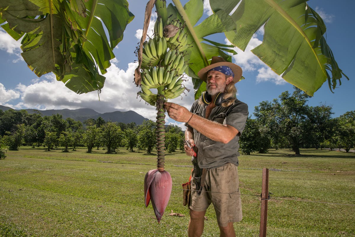 things to do daintree port douglas