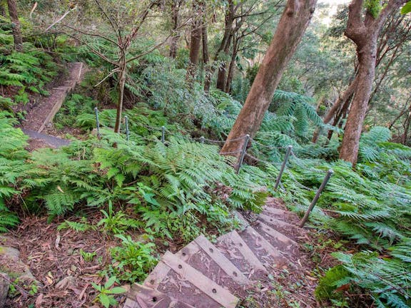 Sublime Point Walking Track