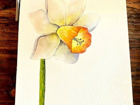 Watercolor