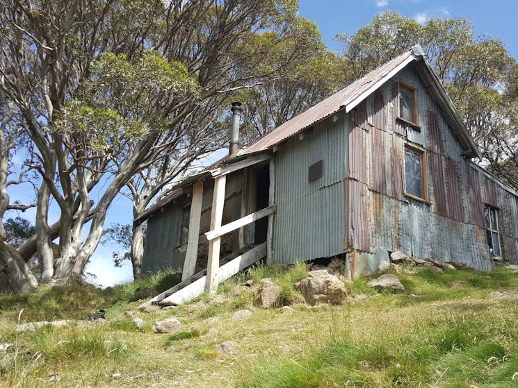 Cope Hut surrounded by snowgums