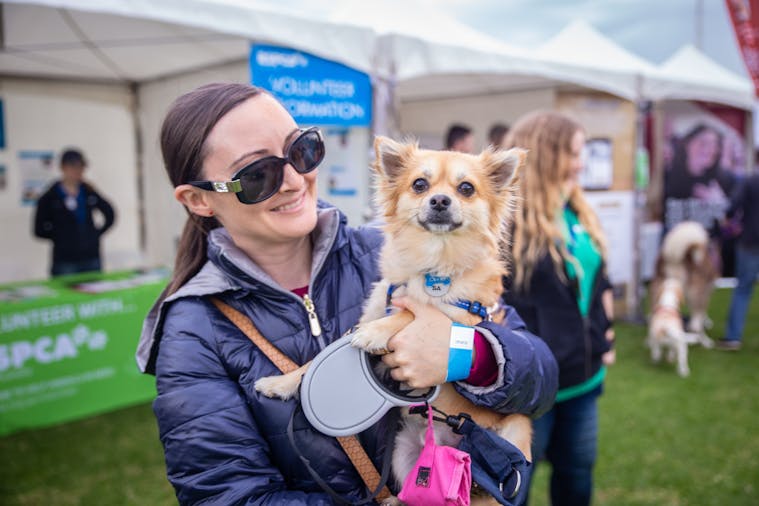 RSPCA Million Paws Walk Adelaide