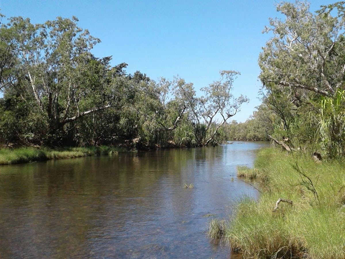 King Edward River Kimberley WA