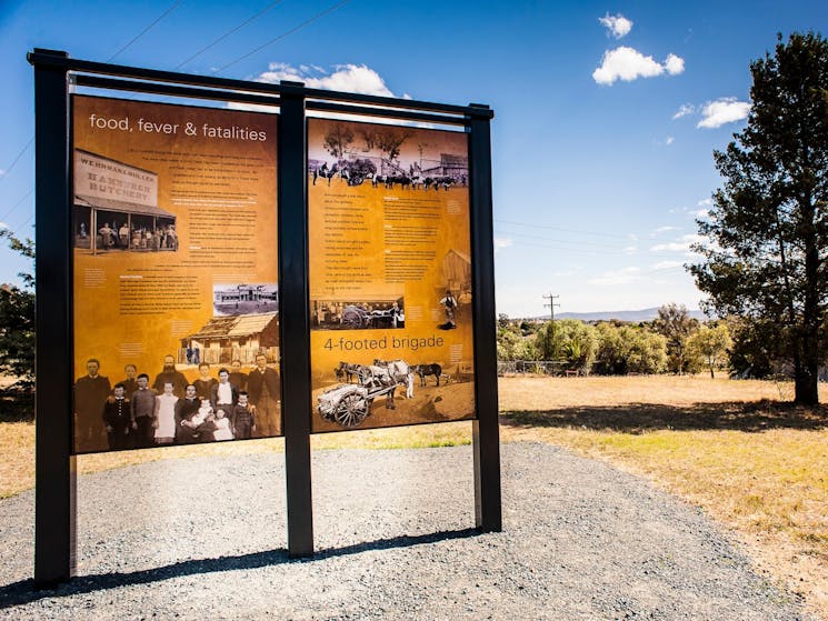 Interpretive signage at O'Brien's Hill Grenfell