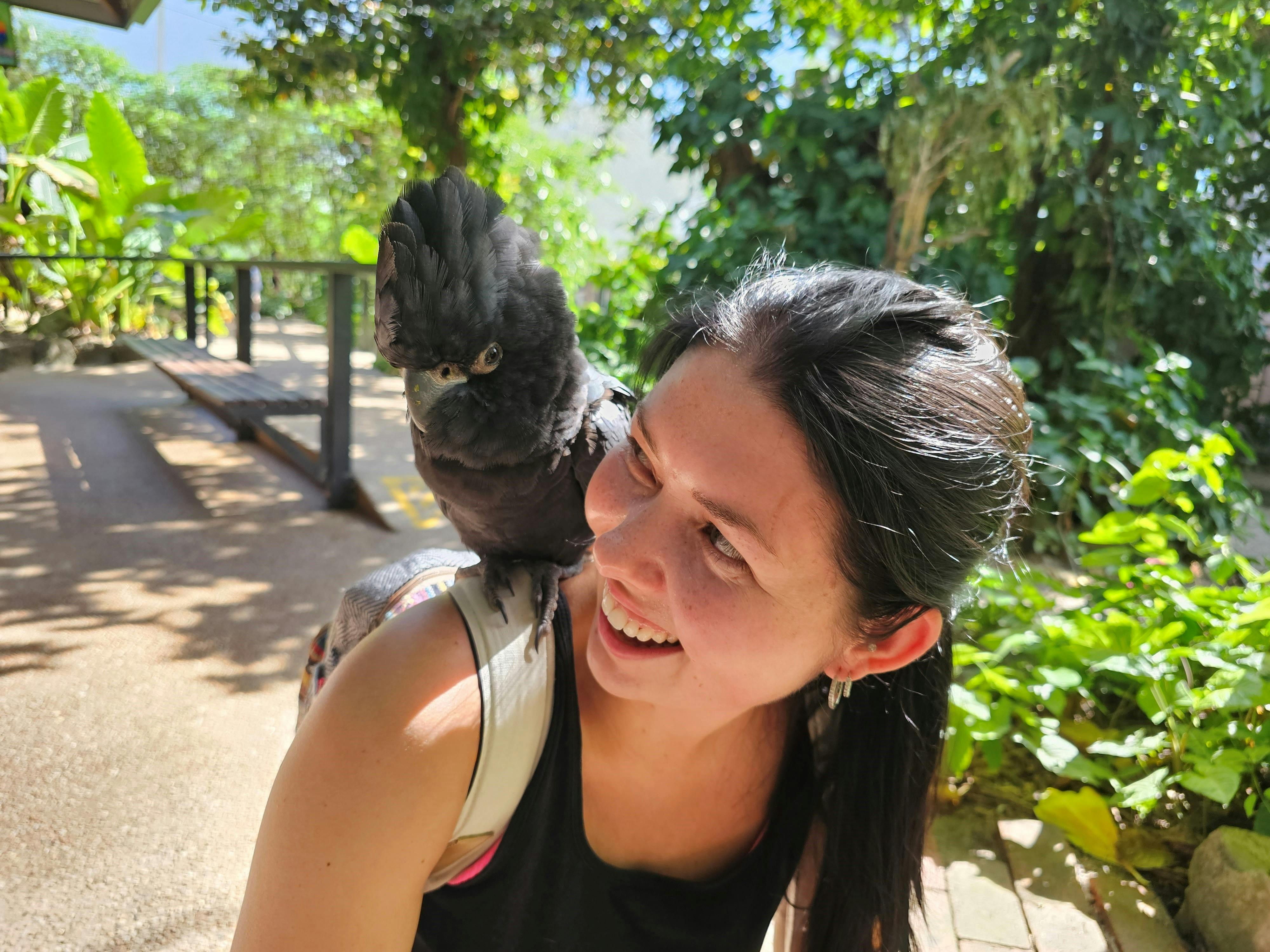 Tour 7A & 7B - Wildlife, The Daintree Rainforest & Mossmna Gorge