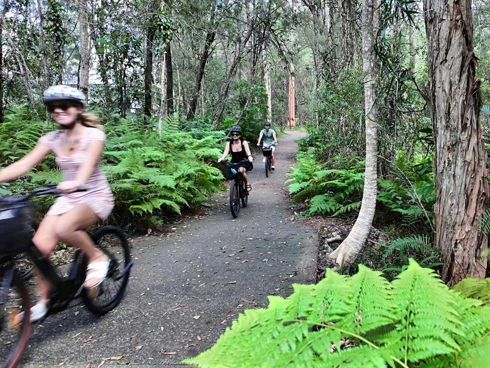 ebike tour guided group tour through wetlands rainforests and national parks ebike tour guided group tour through wetlands rainforests and national parks