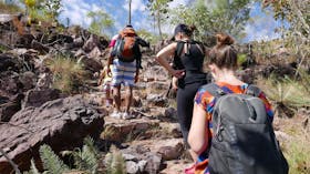 Walker Creek walk