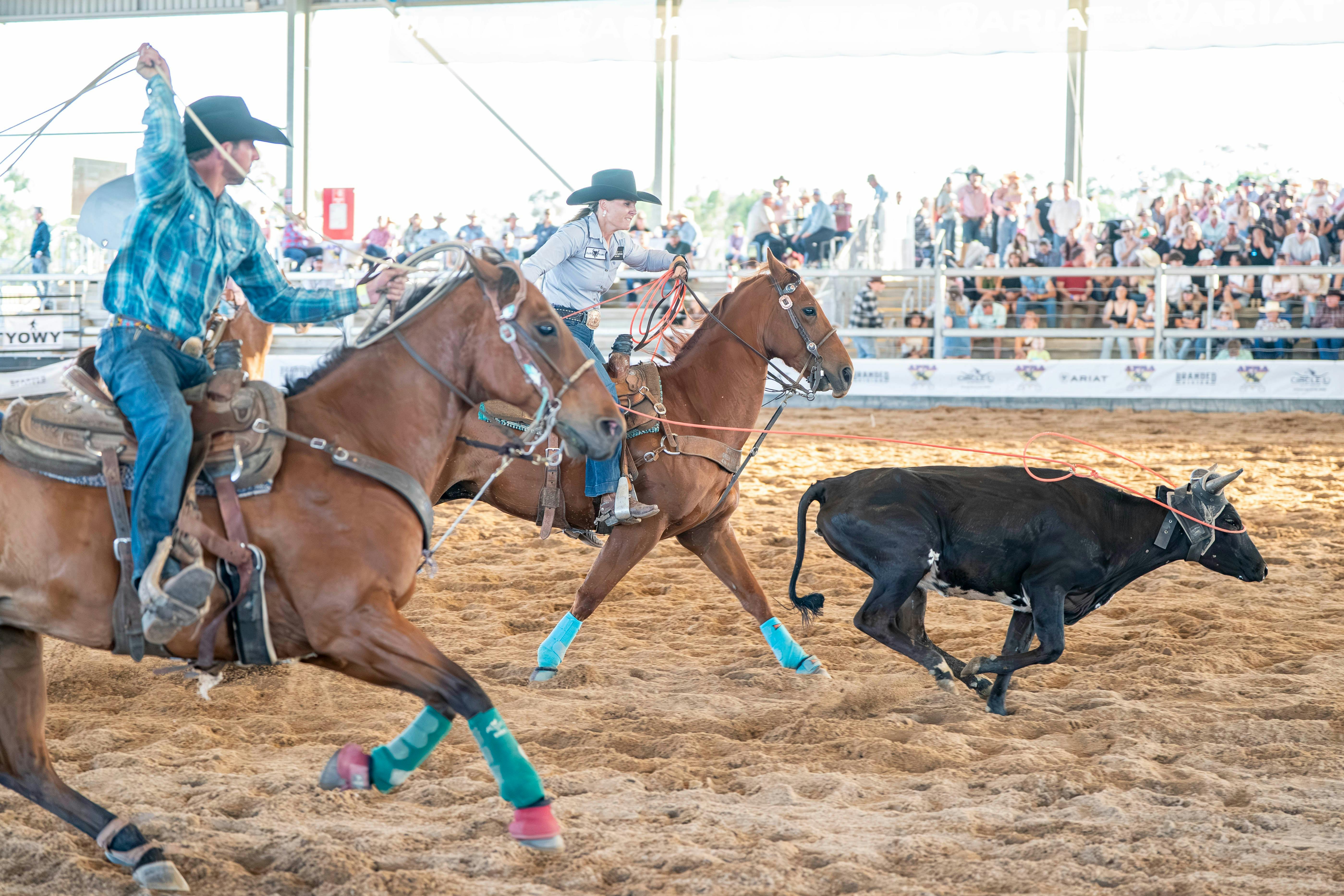 Rodeo Team Roping