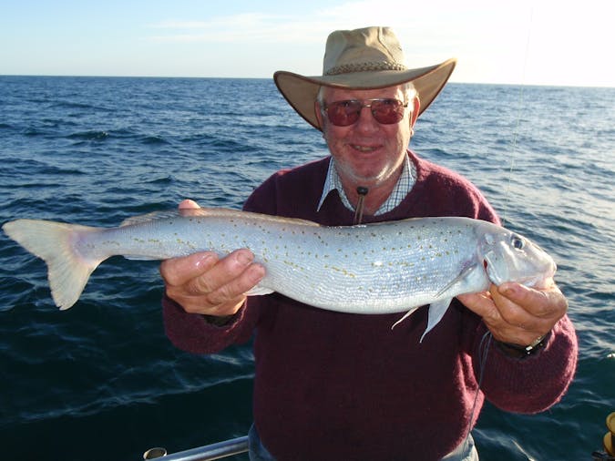 1 Day Medium Range Deep Sea Fishing Charters
