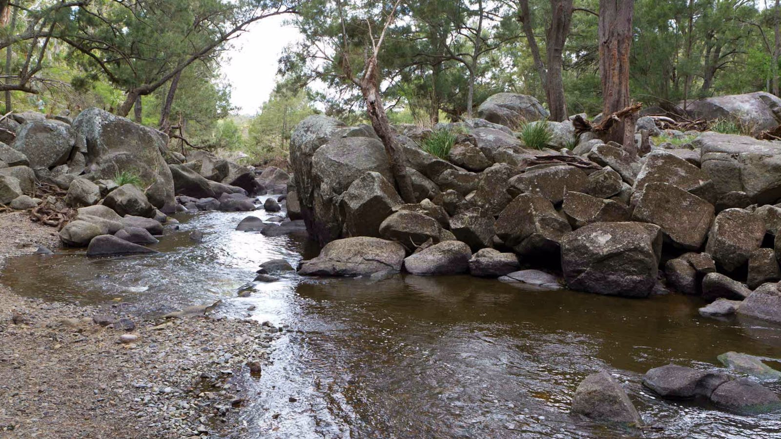 Threlfall Walking Track