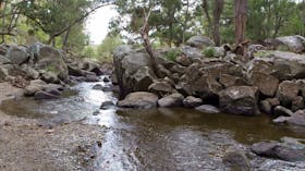 Threlfall walking track, Oxley Wild River National Park. Photo: Rob Cleary