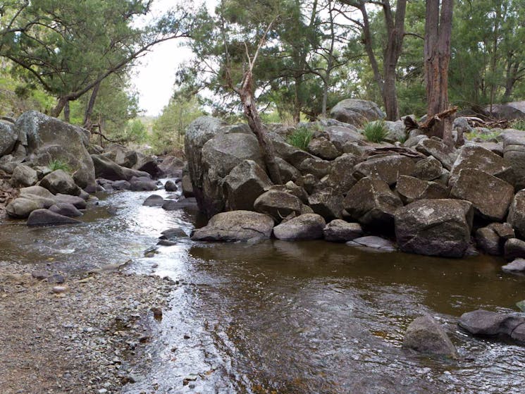 Threlfall walking track, Oxley Wild River National Park. Photo: Rob Cleary