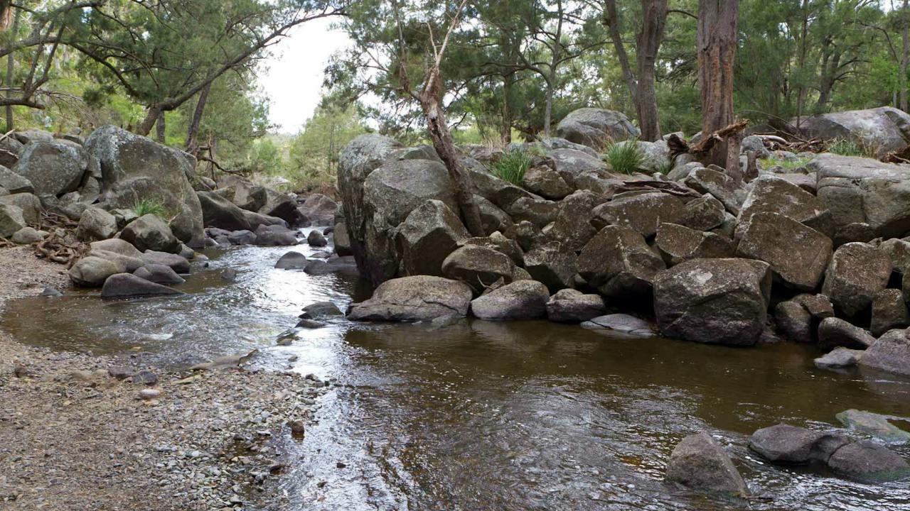 Threlfall Walking Track