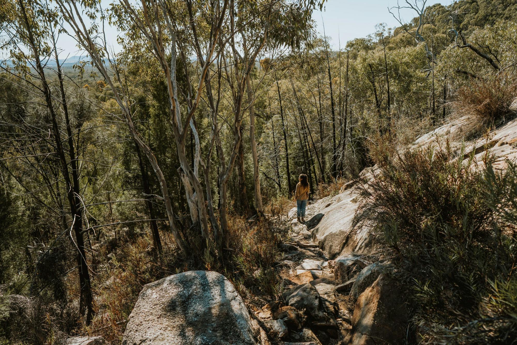 Chiltern-Mt Pilot National Park