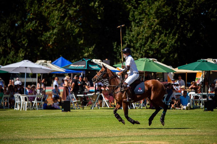 Barossa Polo