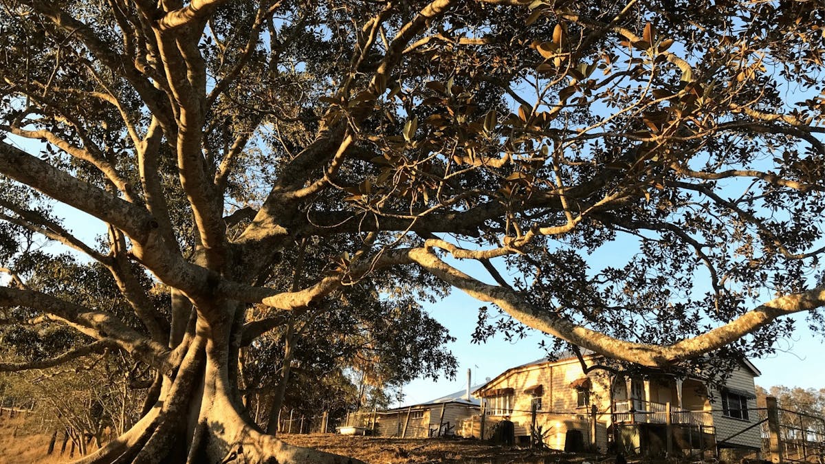 Farm stay near Brisbane