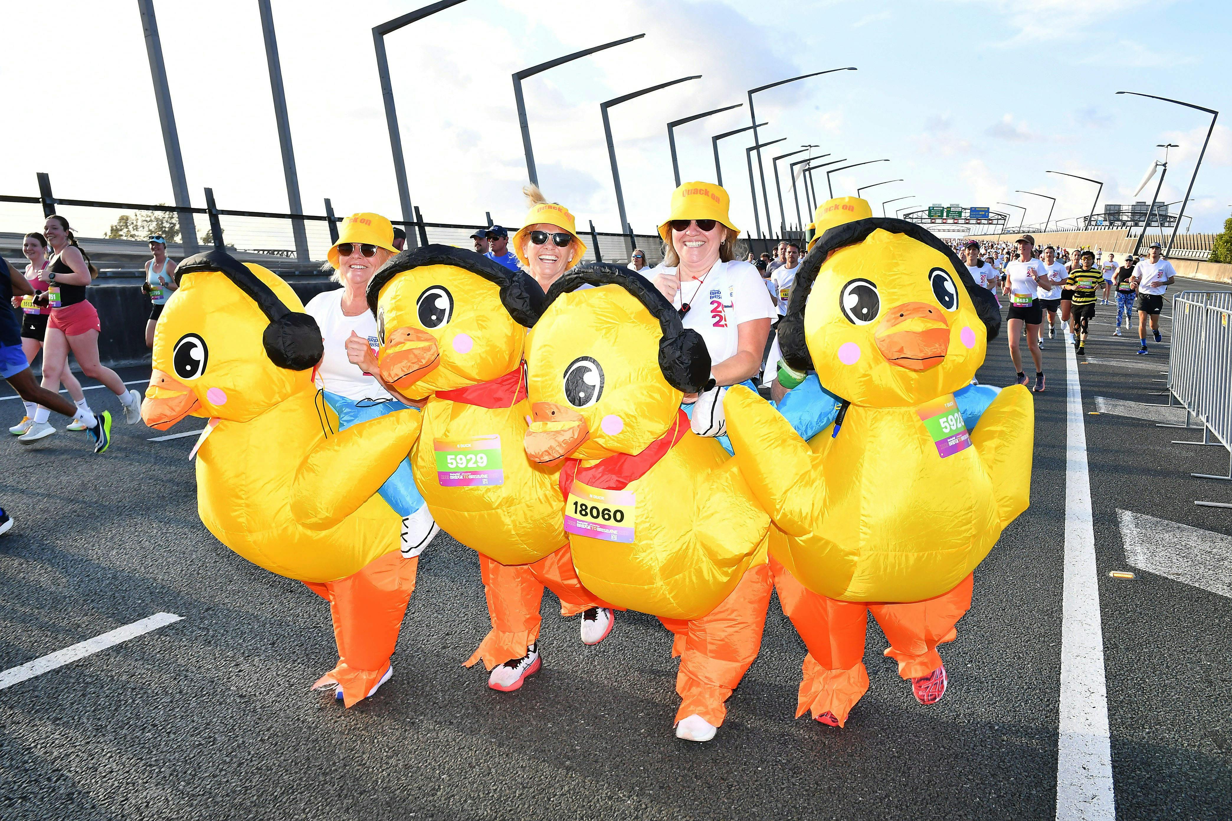 4 people dressed in inflatable duck costumes walking the Bridge to Brisbane race.