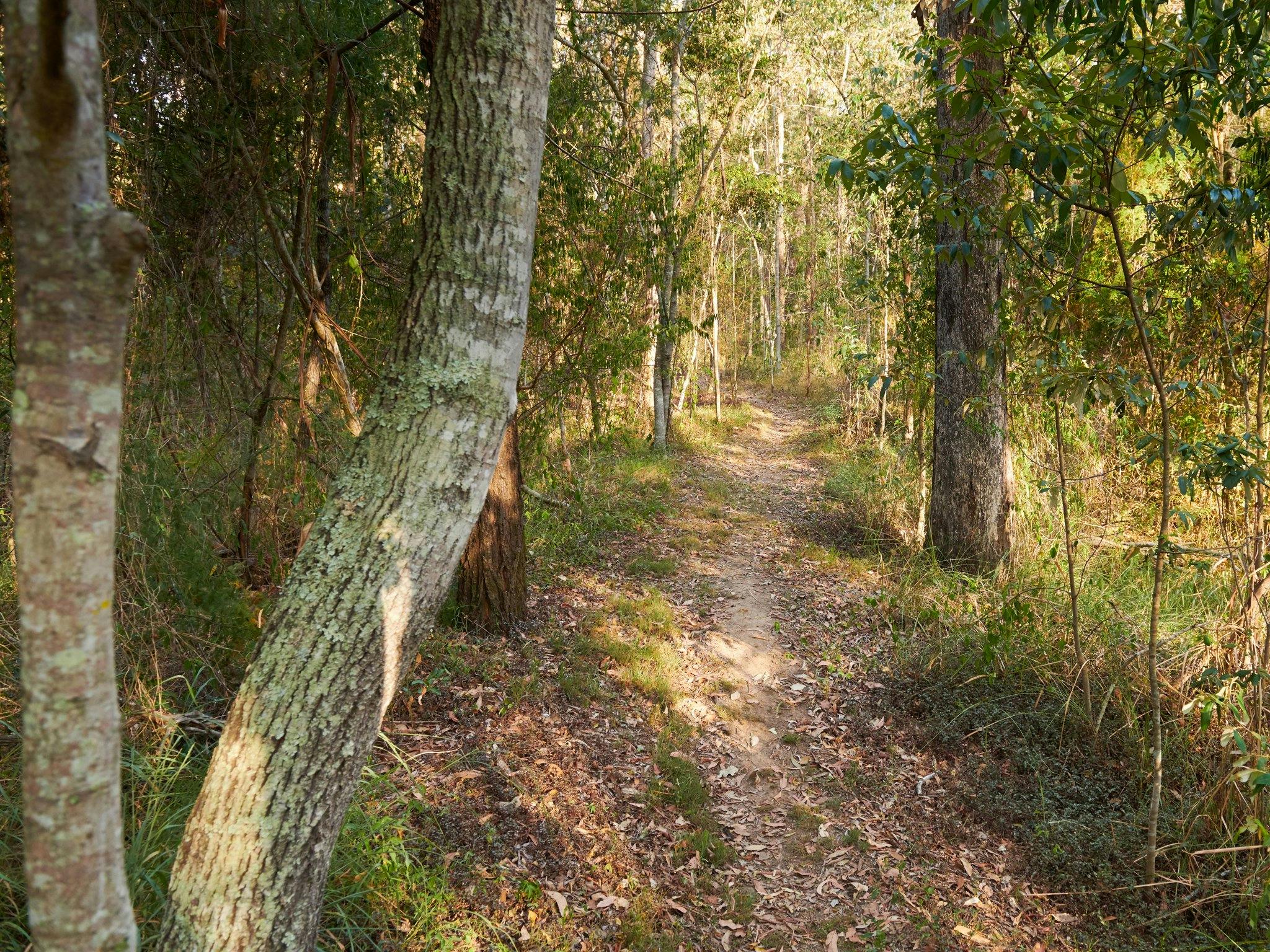 Walter Zimmerman Park