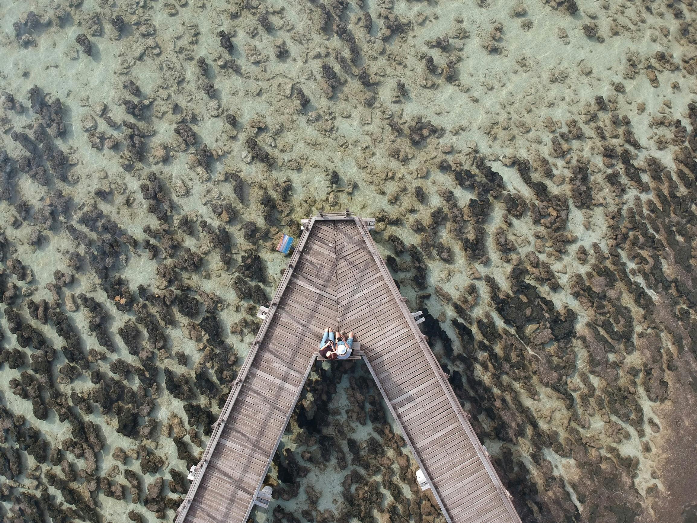 Aerial View of the Stromatolites, Hamelin Pool