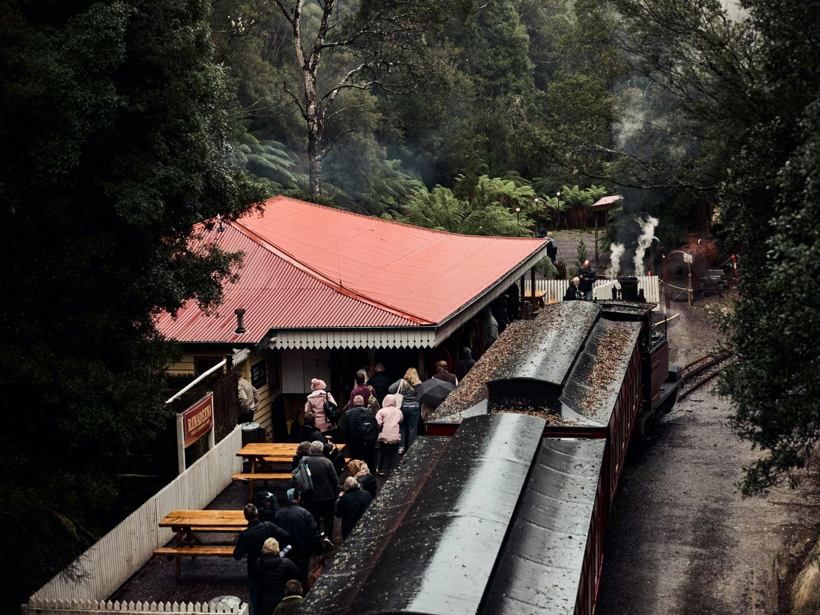 Lookout over the train