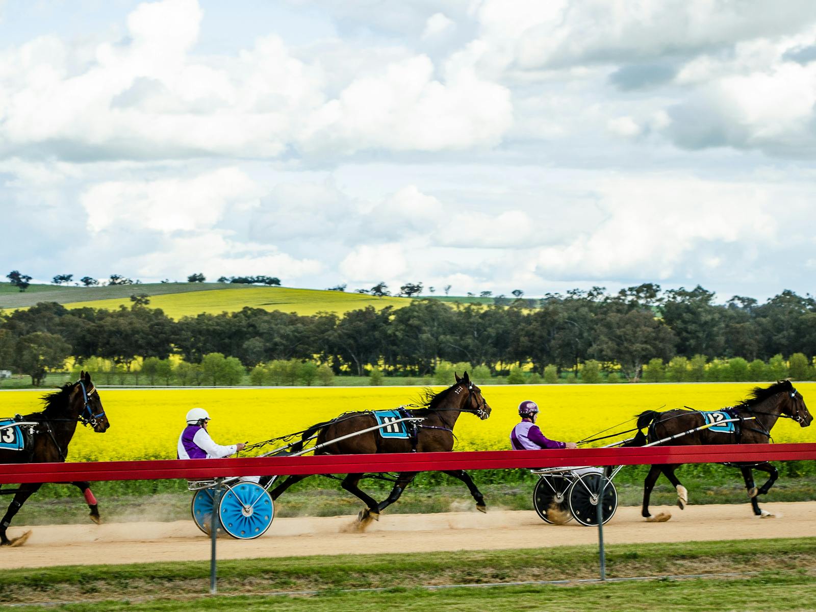 Image for Grenfell Jockey Club Races