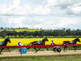 Grenfell Jockey Club Races