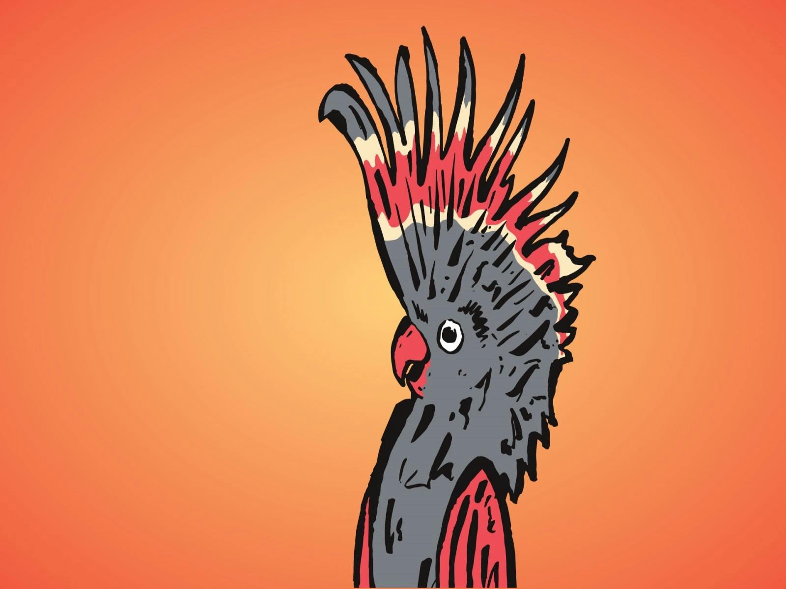 Melbourne International Comedy Festival Roadshow at the Jetty Memorial Theatre