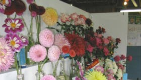 A Colourful Display