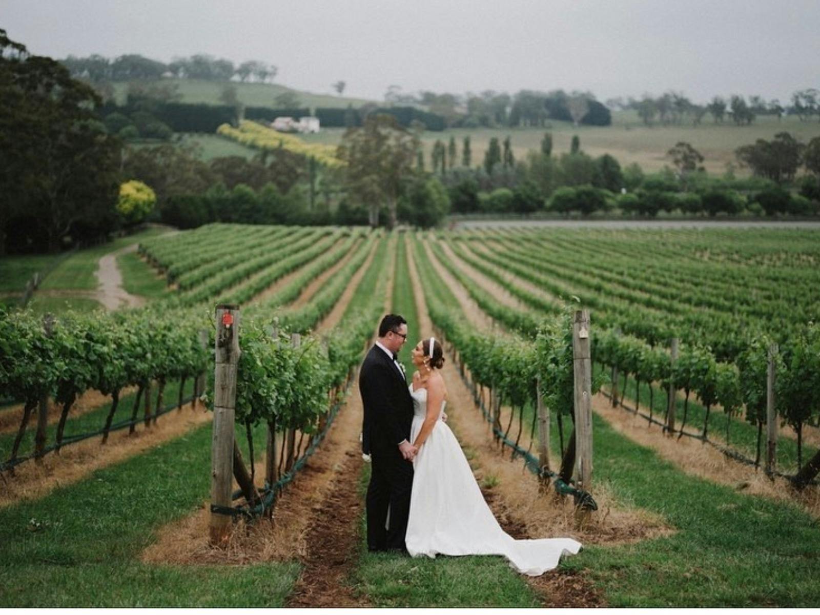 Centennial Vineyards Restaurant 3