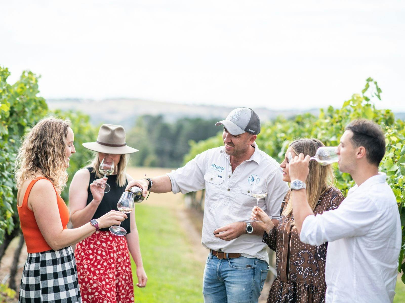 포도원 시음 투어 목요일-일요일