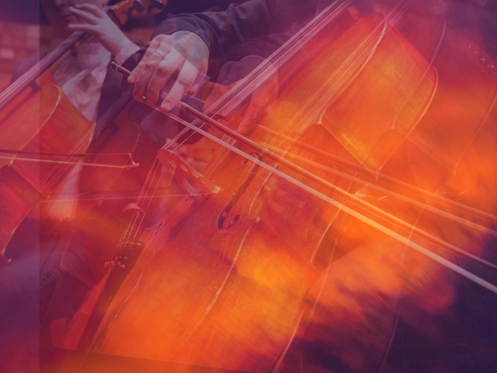 A close up, abstract picture of a celo