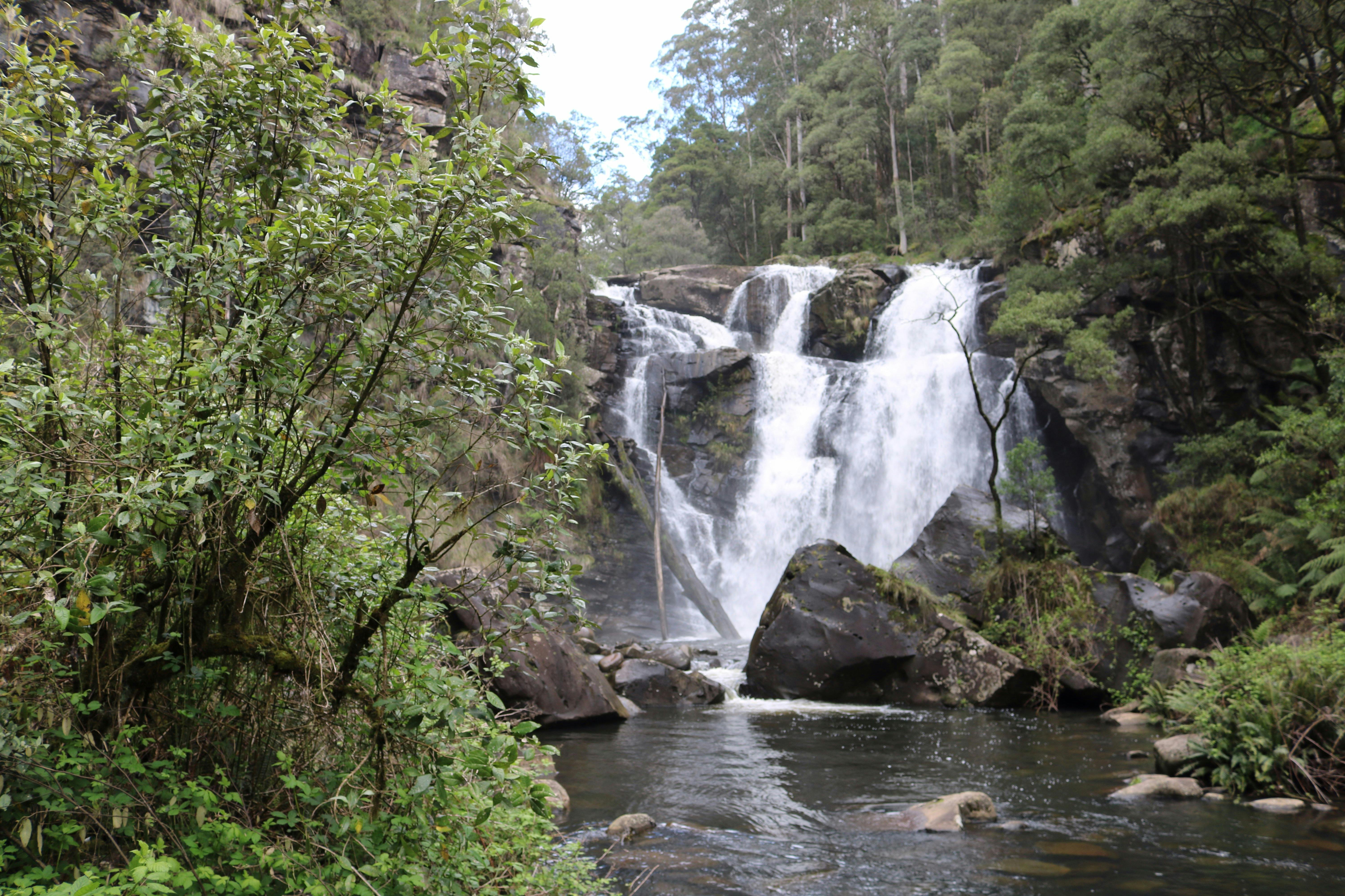 Great Ocean Road Otway Private Tour