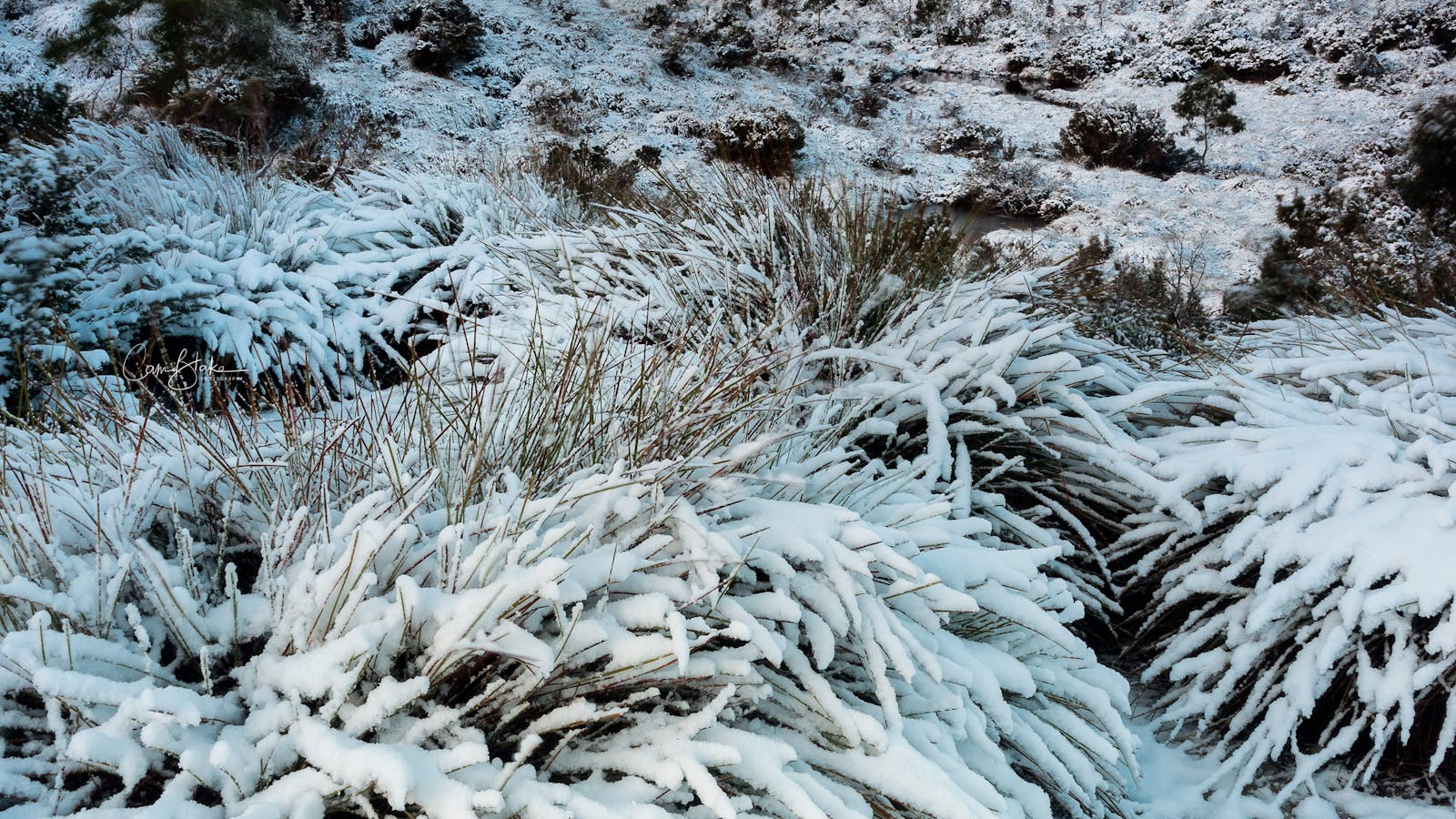 Cradle Mountain - Snow