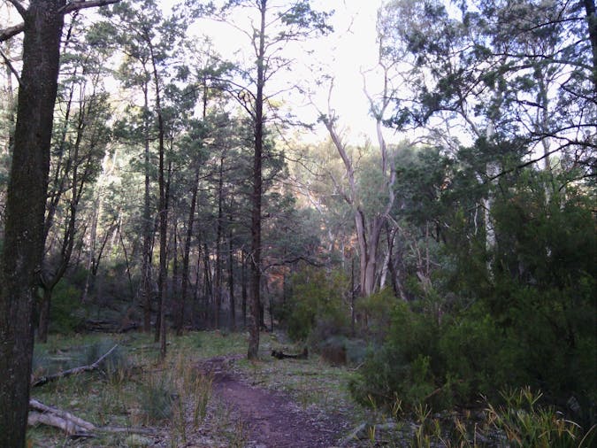 1 Day Flinders Ranges Tour Southern Ranges SWTSFR01