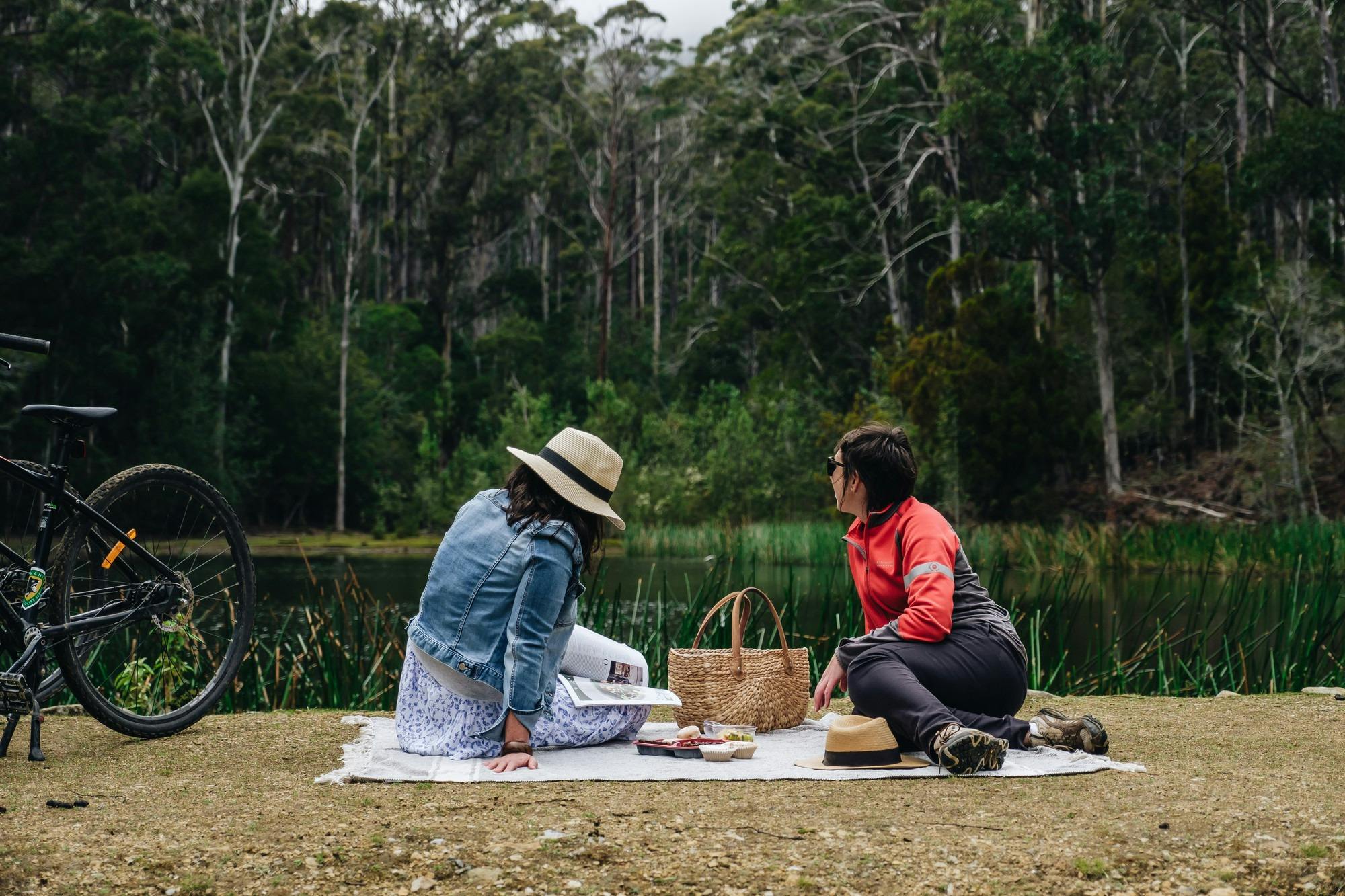 The Reservoir Circuit